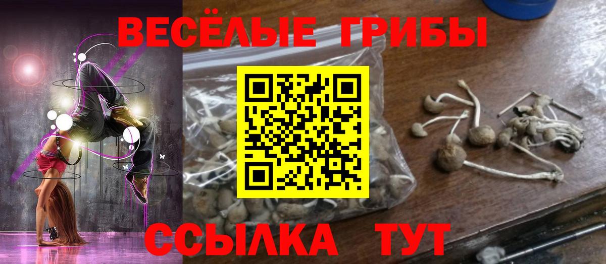 Галлюциногенные грибы GOLDEN TEACHER Южно-Сахалинск