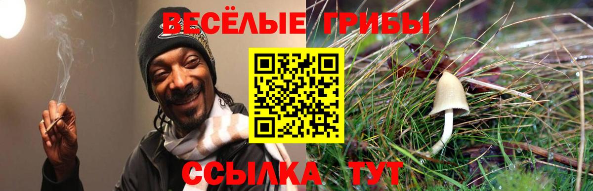 Галлюциногенные грибы Psilocybe  Вход с VPN  Южно-Сахалинск 